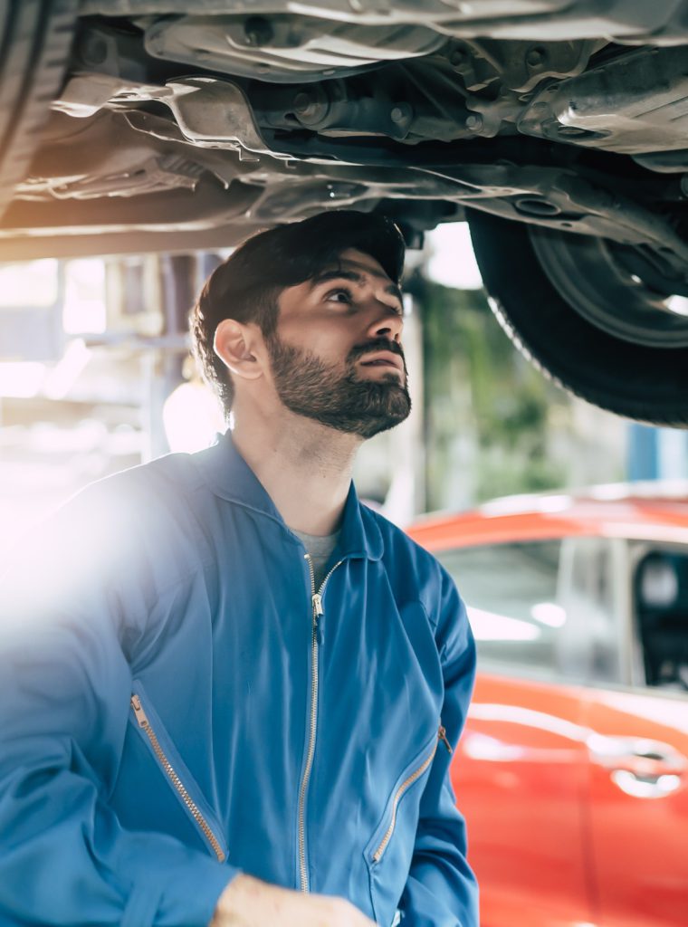 MOT Testing Wellington